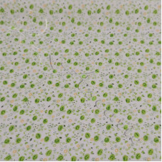Green Ditsy Flowers 100% Cotton 27-3