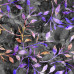 Leafy Trail Blacks & Purple 100% Digital Cotton Poplin