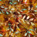 Leafy Trail Batiks  Autumn 100% Cotton Poplin