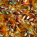 Leafy Trail  Autumn 100% Digital Cotton Poplin