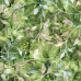 Leafy Trail Batiks  Green100% Cotton Poplin