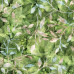 Leafy Trail  Green100% Digital Cotton Poplin