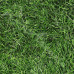 Green Grass 100% Digital Cotton