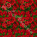 Poinsettia Christmas Design 100% Digital Cotton 