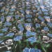 Skulls with Blue Roses  PolyCotton
